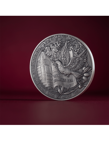 NOAH'S ARK Bible Stories 2 Oz Silver Coin 2000 Francs Cameroon 2025 - Coins & More - Cameroon