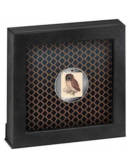 LITTLE OWL Albrecht Dürer Silver Coin 500 Francs Cameroon 2021 - Coins & More - Camerún