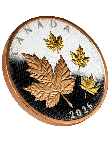 MAPLE LEAVES IN MOTION Rose & Yellow Gold 5 Oz Silver Coin 50$ Canada 2026 - Coins & More - Coming Soon