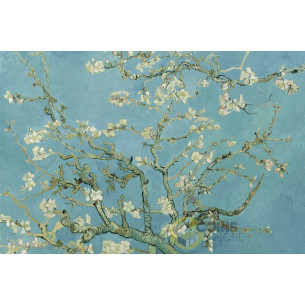 ALMOND BLOSSOM 5g Silver Coin 1 Cedis Ghana 2026 - Coins & More - À Venir