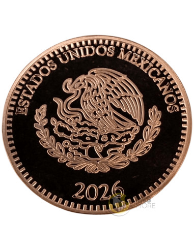 DONA THE PIRATE 1 Oz Colorized Copper Medal - Coins & More - Kupfer