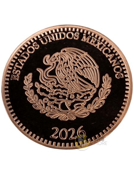 DONA THE PIRATE 1 Oz Colorized Copper Medal - Coins & More - Kupfer