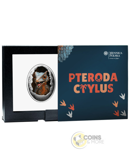 PTERODACTYLUS Dinosauria Silver Coin 500 Francs Cameroon 2025 - Coins & More - Camerun
