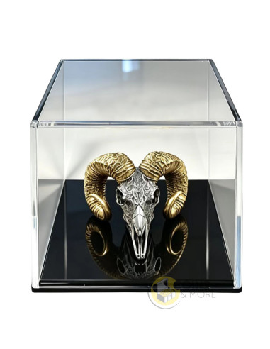 THE SOVEREIGN Carved Skull 2 Oz Silver Coin 2000 Francs Cameroon 2026 - Coins & More - Coming Soon