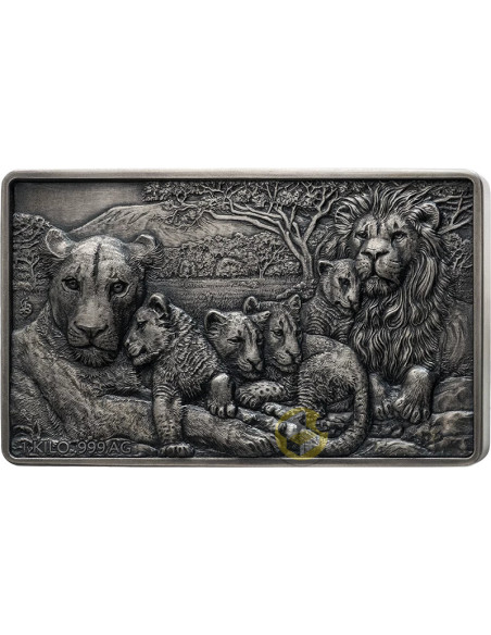LION FAMILY 1Kg Kilo Silver Coin 1000 Francs Benin 2026 - Coins & More - Africa