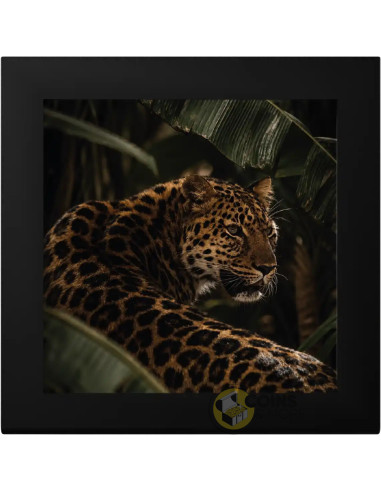 LEOPARD Barre de Luxe 3 Oz Silver Coin 20$ Cook Islands 2026 - Coins & More - Coming Soon