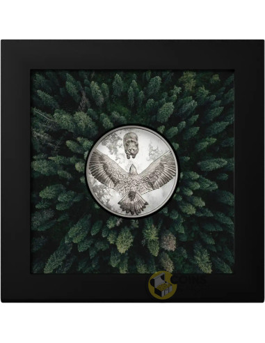 ENVY Seven Deadly Sins 1 Oz Silver Coin 5$ Cook Islands 2026 - Coins & More - Coming Soon