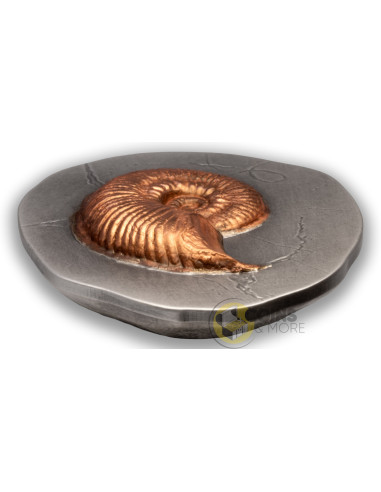 AMMONITE Fossil 3D Series 2 Oz Silver Coin 5$ Niue 2026 - Coins & More - Coming Soon