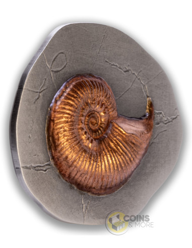 AMMONITE Fossil 3D Series 2 Oz Silver Coin 5$ Niue 2026 - Coins & More - Coming Soon