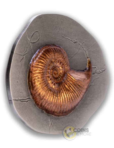 AMMONITE Fossil 3D Series 2 Oz Silver Coin 5$ Niue 2026 - Coins & More - Coming Soon