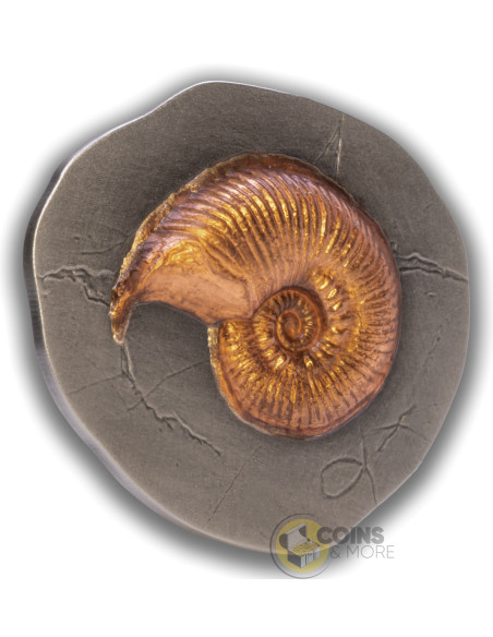 AMMONITE Fossil 3D Series 2 Oz Silver Coin 5$ Niue 2026 - Coins & More - Coming Soon