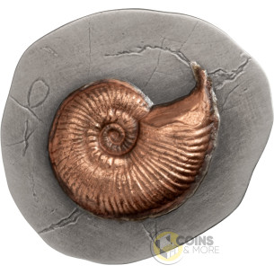 AMMONITE Fossil 3D Series 2 Oz Silver Coin 5$ Niue 2026 - Coins & More - Coming Soon