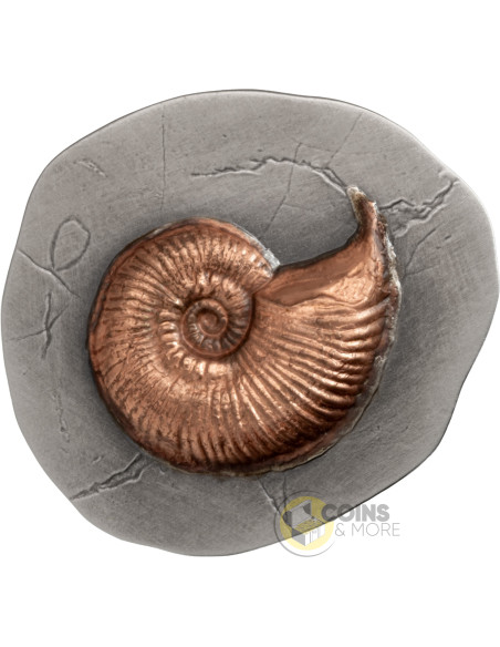 AMMONITE Fossil 3D Series 2 Oz Silver Coin 5$ Niue 2026 - Coins & More - Coming Soon