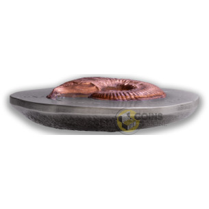 AMMONITE Fossil 3D Series 2 Oz Silver Coin 5$ Niue 2026 - Coins & More - Coming Soon 2