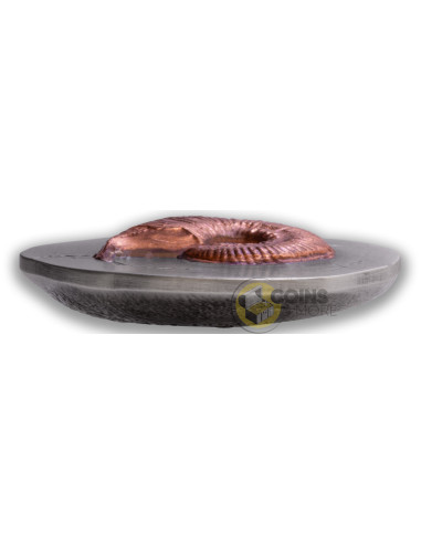 AMMONITE Fossil 3D Series 2 Oz Silver Coin 5$ Niue 2026 - Coins & More - Coming Soon