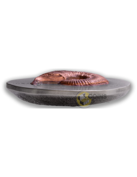 AMMONITE Fossil 3D Series 2 Oz Silver Coin 5$ Niue 2026 - Coins & More - Coming Soon