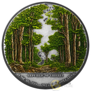 SPIRIT FOX Antique Finish 1 Oz Silver Coin 10$ Liberia 2026 - Coins & More - Demnächst 2