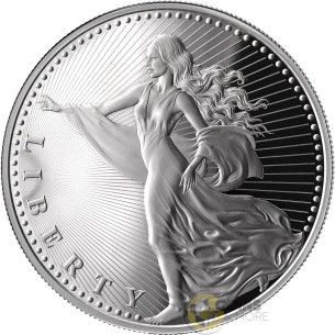 LIBERTY 1/2 Oz Silver Proof Coin 1000 Satoshi United Crypto States 2026 - Coins & More - In Arrivo