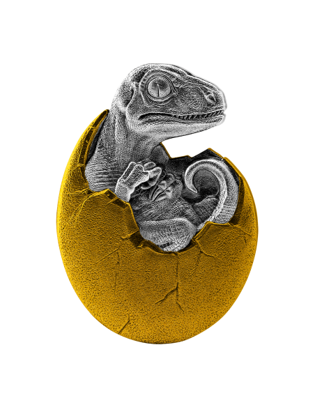 VELOCIRAPTOR HALF GOLD - Hatched 2 Oz Silver Coin 10000 Francs Chad 2021