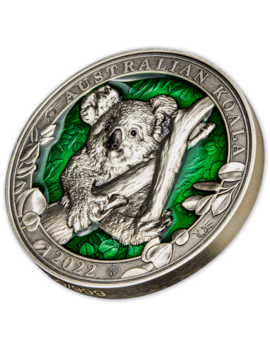 AUSTRALIAN KOALA Colours of Wildlife 3 Oz Silver Coin 5$ Barbados 2022 - Coins & More - Barbados