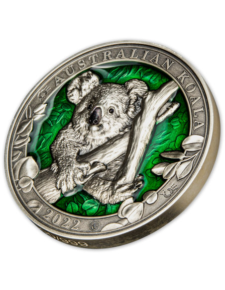 AUSTRALIAN KOALA Colours of Wildlife 3 Oz Silver Coin 5$ Barbados 2022 - Coins & More - Barbados