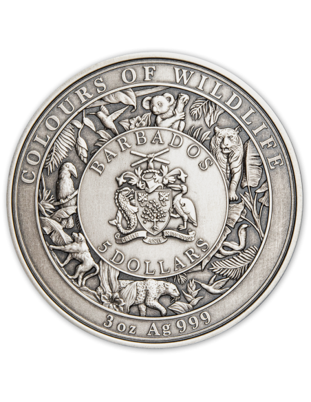 AUSTRALIAN KOALA Colours of Wildlife 3 Oz Silver Coin 5$ Barbados 2022 - Coins & More - Barbados