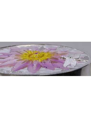 THE LOTUS High Relief Flowers and Leaves 2 OzSilver Coin 10$ Palau 2022 - Coins & More - Palau