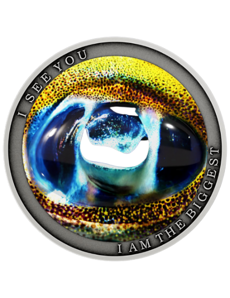 I AM THE BIGGEST Wild Afrika Silver Coin 1$ Niue 2022 - Coins & More - Nature and Animals