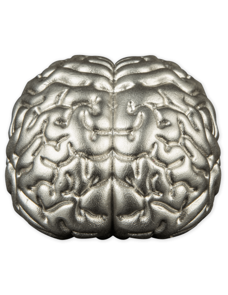 BRAIN 3D Shaped 2 Oz Silver Coin 5$ Samoa 2023 - Coins & More - Samoa