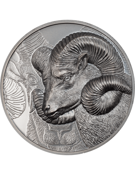 MAGNIFICENT ARGALI Wild Mongolia Ram 2 Oz Silver Black Proof Coin 1000 Togrog Mongolia 2022 - Coins & More - Mongolia