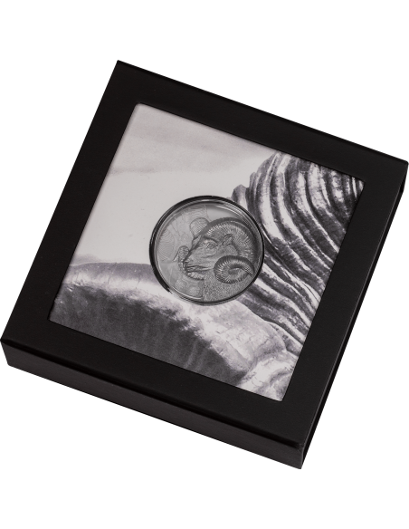 MAGNIFICENT ARGALI Wild Mongolia Ram 2 Oz Silver Black Proof Coin 1000 Togrog Mongolia 2022 - Coins & More - Mongolia