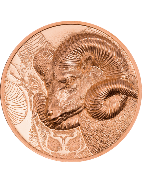 MAGNIFICENT ARGALI Wild Mongolia Ram Copper Coin 250 Togrog Mongolia 2022 - Coins & More - Mongolia