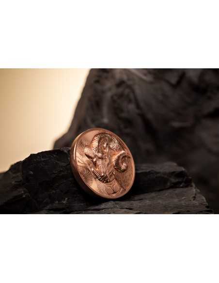 MAGNIFICENT ARGALI Wild Mongolia Ram Copper Coin 250 Togrog Mongolia 2022 - Coins & More - Mongolia
