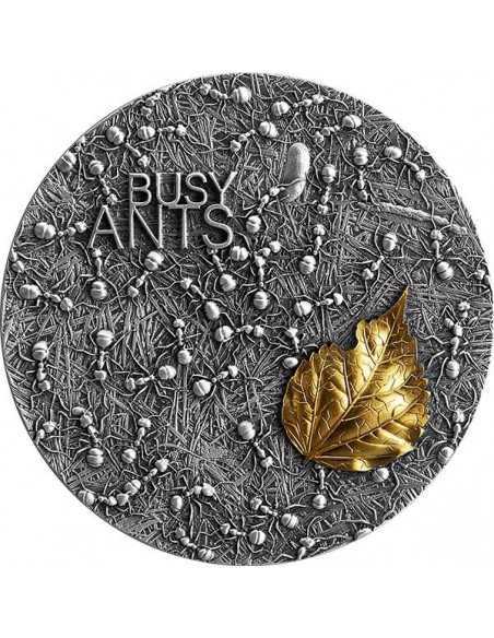 BUSY ANTS 2 Oz Silver Coin 10 Cedis Ghana 2022 - Coins & More - Afrique