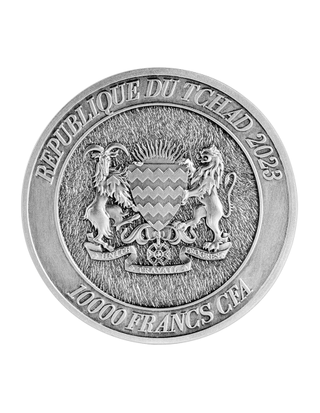 RABBIT FROM THE MOUNTAINS Chinese Sexagenary Cycle 2 Oz Silver Coin 10000 Francs Chad 2023 - Coins & More - Tchad
