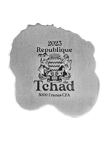 CHINESE DRAGON ABACUS 1 Oz Silver Coin 5000 Francs Chad 2023 - Coins & More - Tchad