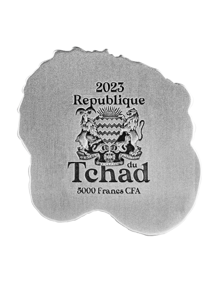 CHINESE DRAGON ABACUS 1 Oz Silver Coin 5000 Francs Chad 2023 - Coins & More - Tchad