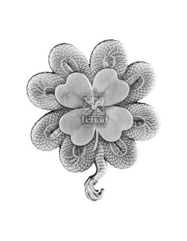 FOUR LEAF CLOVER DRAGON 1 Oz Silver Coin 5000 Francs Chad 2023 - Coins & More - Tchad