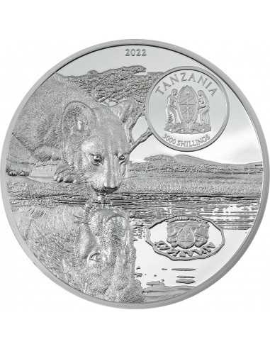 LIONS Growing Up 5 Oz Silver Coin 3000 Shillings Tanzania 2022 - Coins & More - Africa