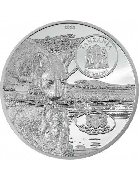 LIONS Growing Up 5 Oz Silver Coin 3000 Shillings Tanzania 2022 - Coins & More - Africa