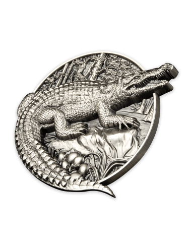 CROCODILE 5 Oz Silver Coin 100 Francs Burundi 2023 - Coins & More - Burundi