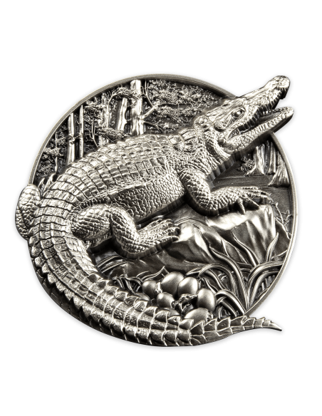 CROCODILE 5 Oz Silver Coin 100 Francs Burundi 2023 - Coins & More - Burundi
