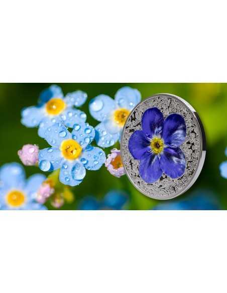 FORGET ME NOT Flowers and Leaves 1 Oz Silver Coin 10$ Palau 2023 - Coins & More - Palau