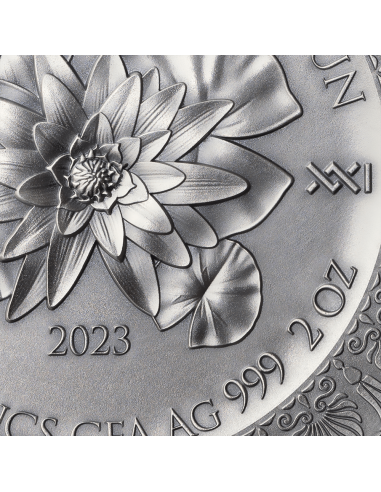 LEDA AND THE SWAN Celestial Beauty 2 Oz Silver Coin 2000 Francs Cameroon 2023 - Coins & More - Kamerun
