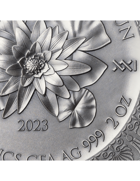 LEDA AND THE SWAN Celestial Beauty 2 Oz Silver Coin 2000 Francs Cameroon 2023 - Coins & More - Kamerun