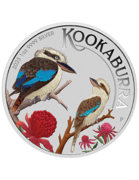 COLOURED KOOKABURRA Special Edition 1 oz Silver Coin 1$ Australia 2023 - Coins & More - Australia