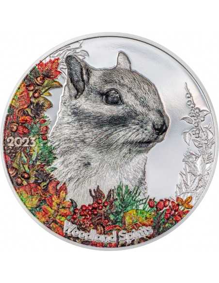 CHIPMUNK Woodland Spirits 1 Oz Silver Coin 500 Togrog Mongolia 2023 - Coins & More - Mongolia