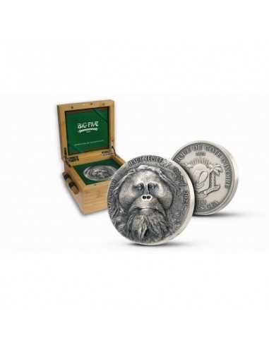 ORANGUTAN Big Five Asia 5 Oz Silver Coin 5000 Francs Ivory Coast 2023 - Coins & More - Costa de Marfil