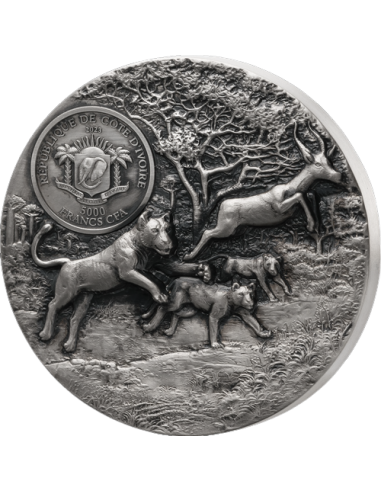 LION Predators series 3 Oz Silver Coin 5000 Francs Ivory Coast 2023 - Coins & More - Costa de Marfil