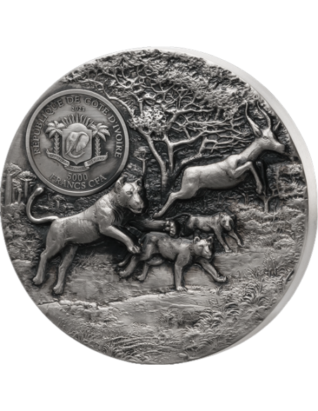 LION Predators series 3 Oz Silver Coin 5000 Francs Ivory Coast 2023 - Coins & More - Costa de Marfil